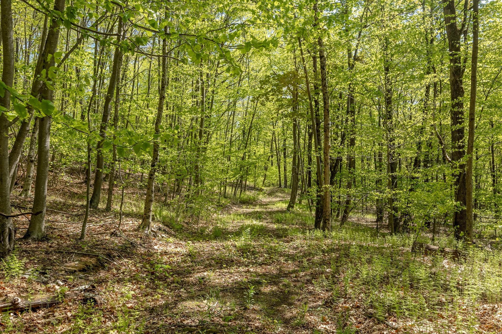 #11 photo, Overlook Drive, Hillsdale , NY 