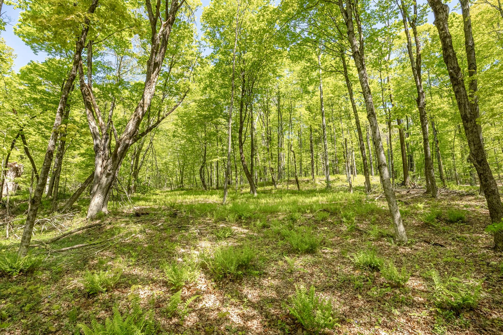 #8 photo, Overlook Drive, Hillsdale , NY 