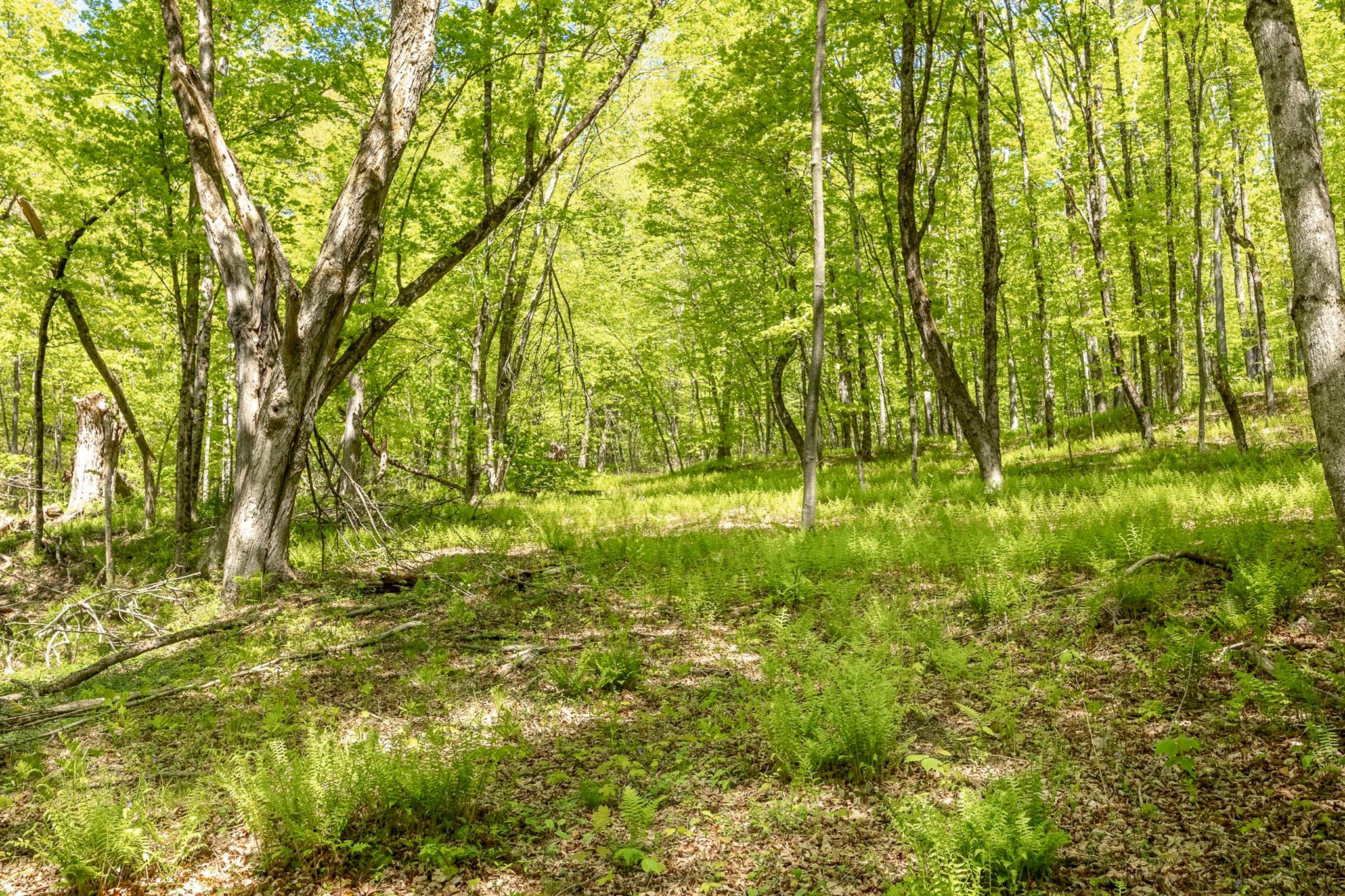 #9 photo, Overlook Drive, Hillsdale , NY 