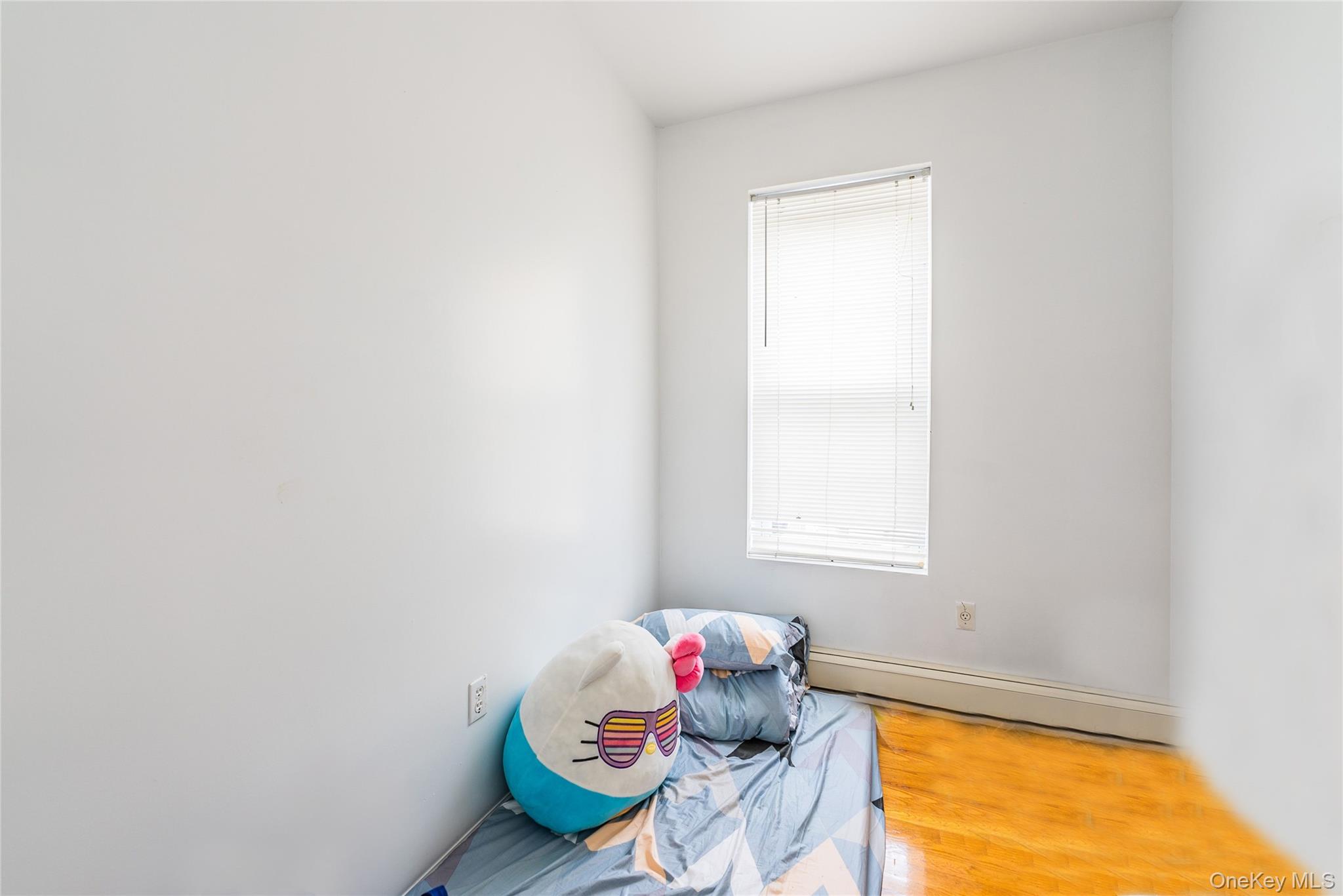 #11 photo, 80 Etna Street, ブルックリン区 Brooklyn , NY 11208