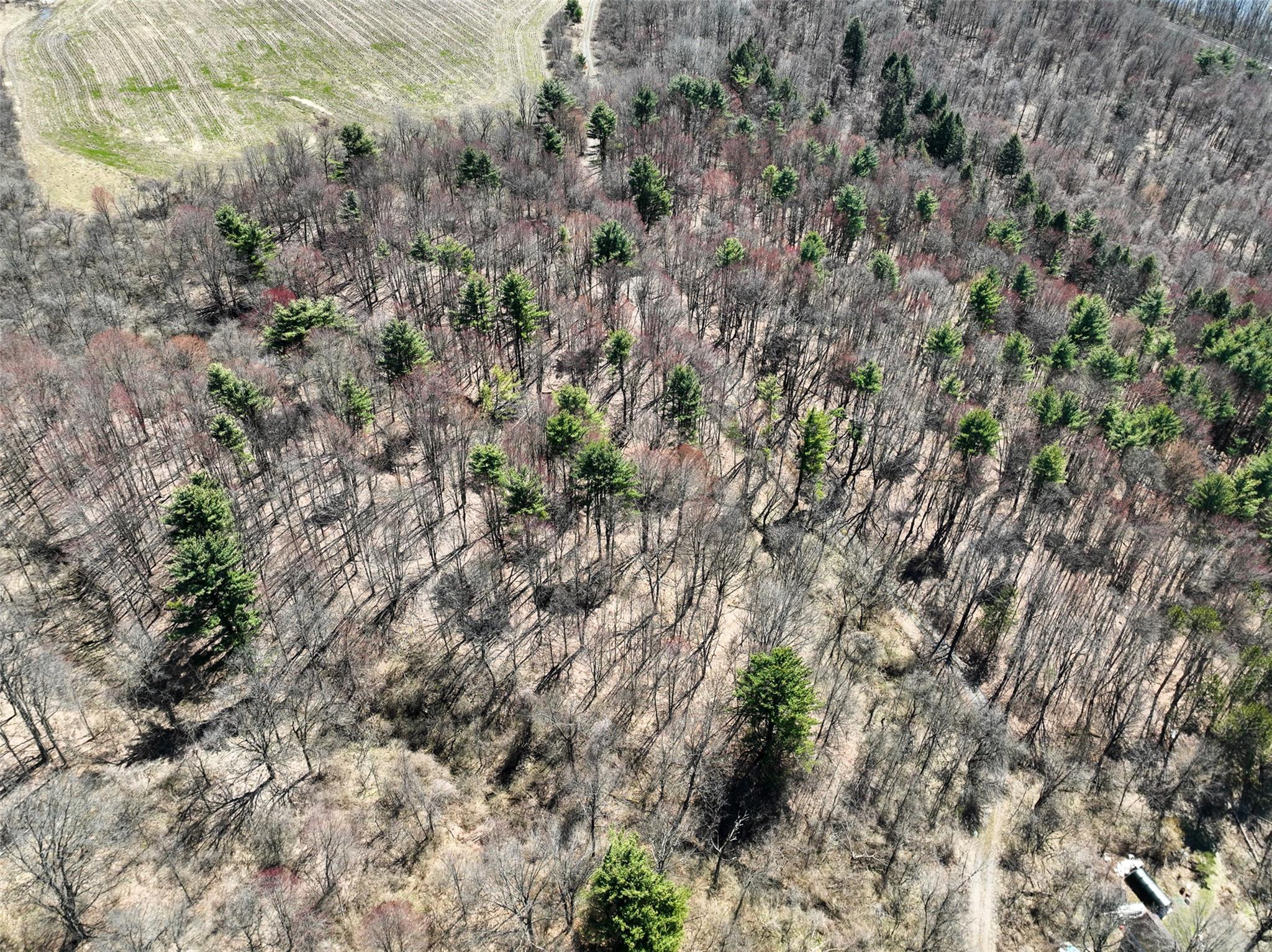 #13 photo, L24.12 Switzer Hill Road, Call Listing Agent , NY 12068