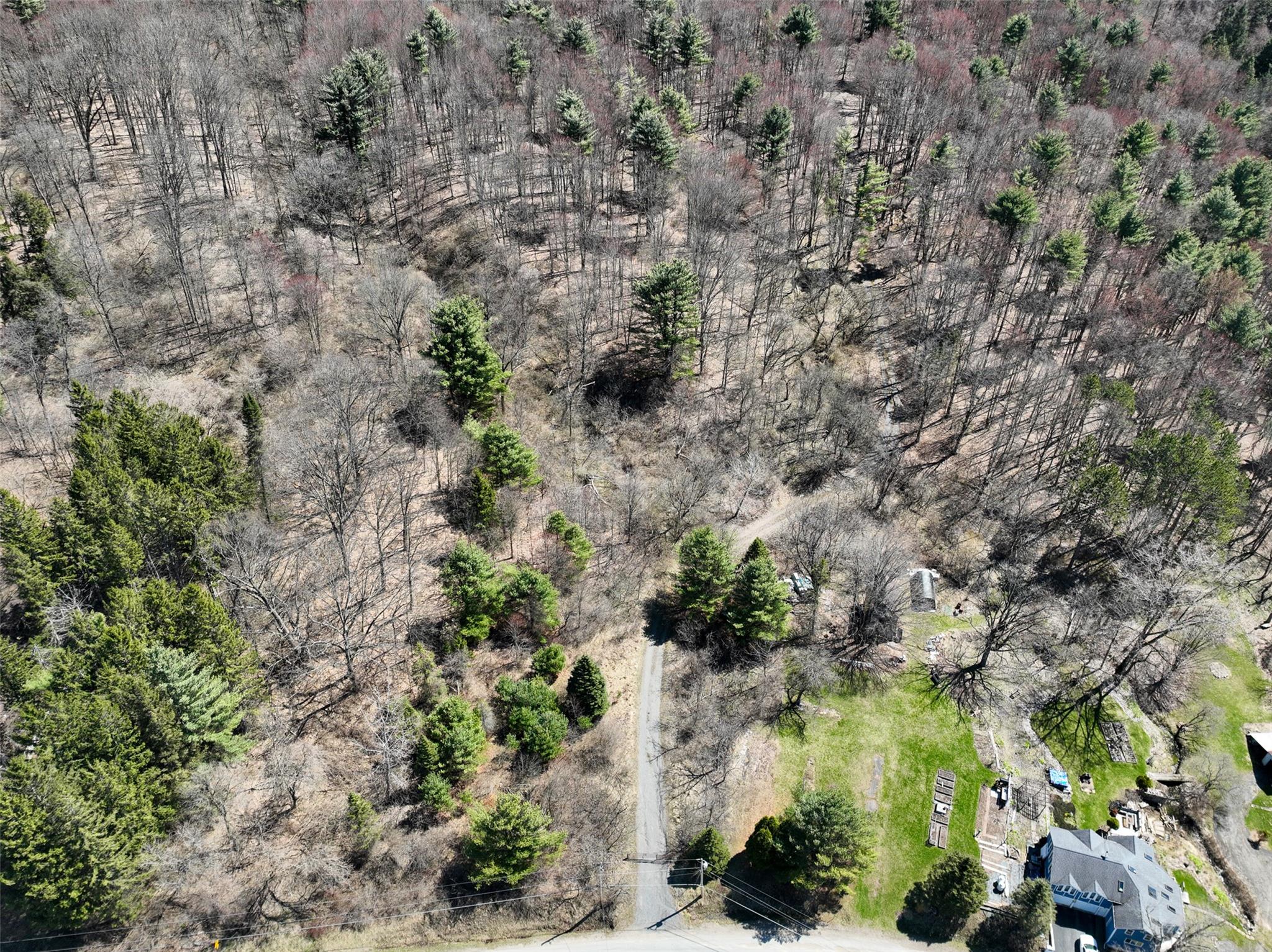 #3 photo, L24.12 Switzer Hill Road, Call Listing Agent , NY 12068