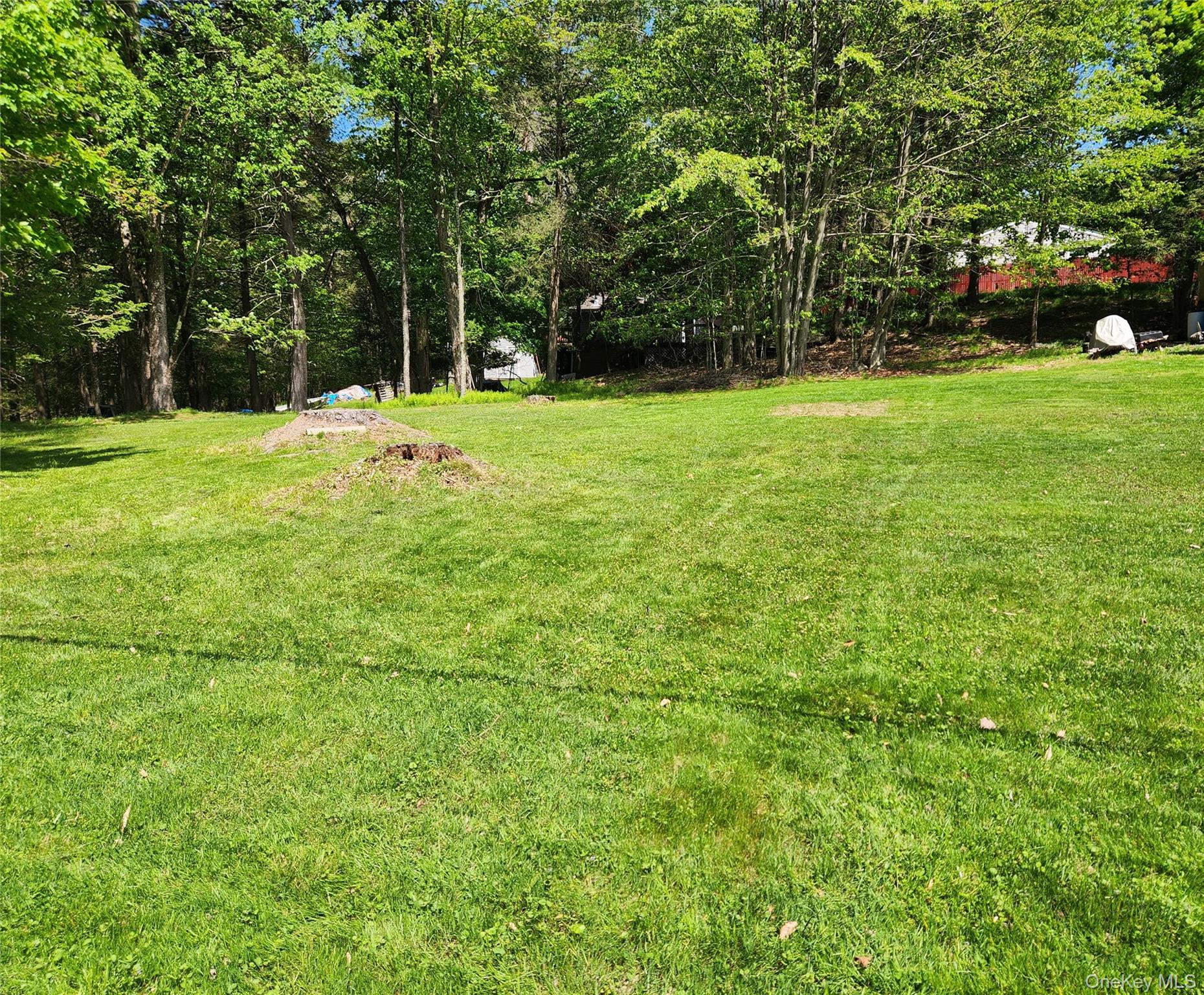 #3 photo, 45 W Kenoza Place, Smallwood , NY 12778