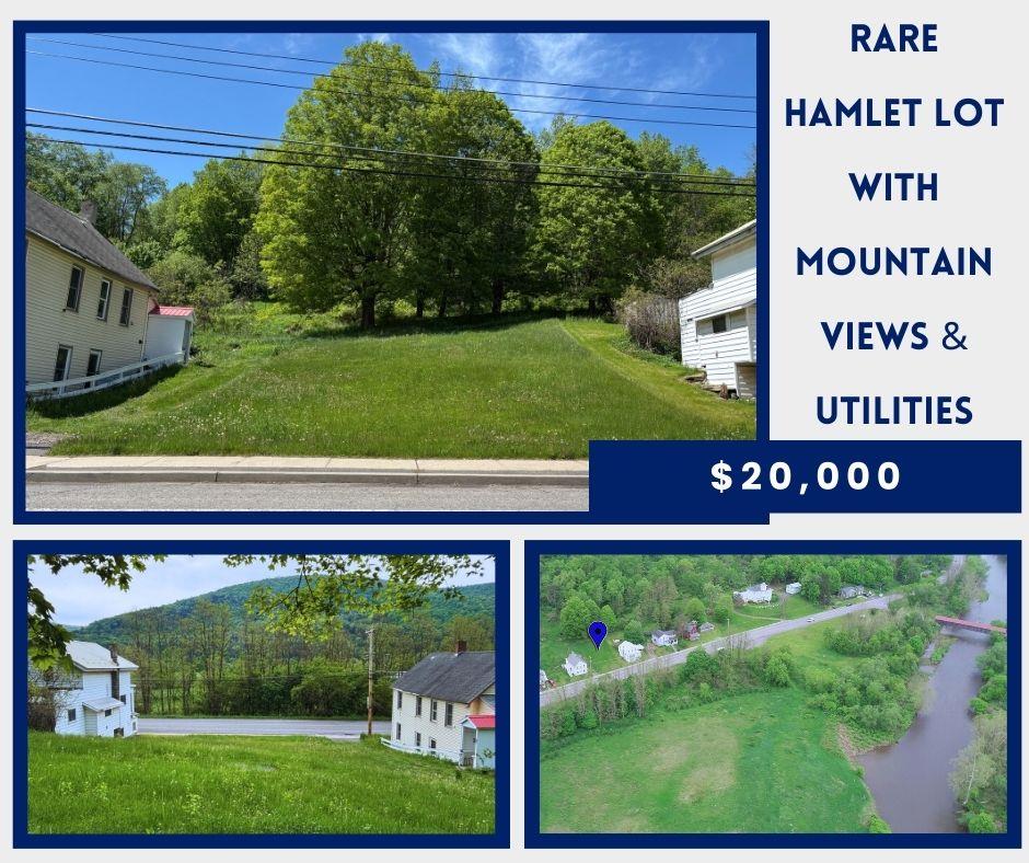 #1 photo, Lot 20 State Highway 10, Hamden , NY 13782