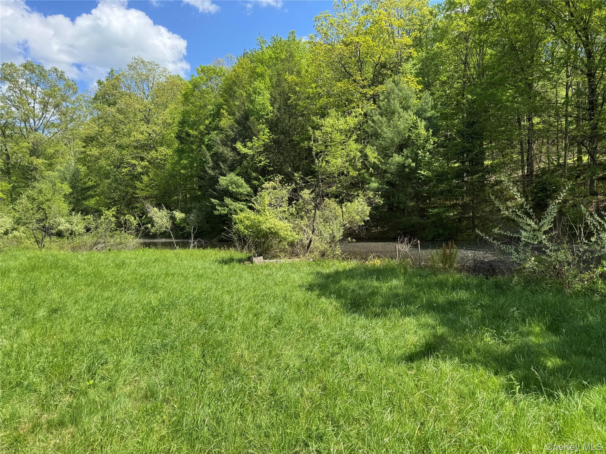 #12 photo, 632 New Turnpike Road, Cochecton , NY 12726