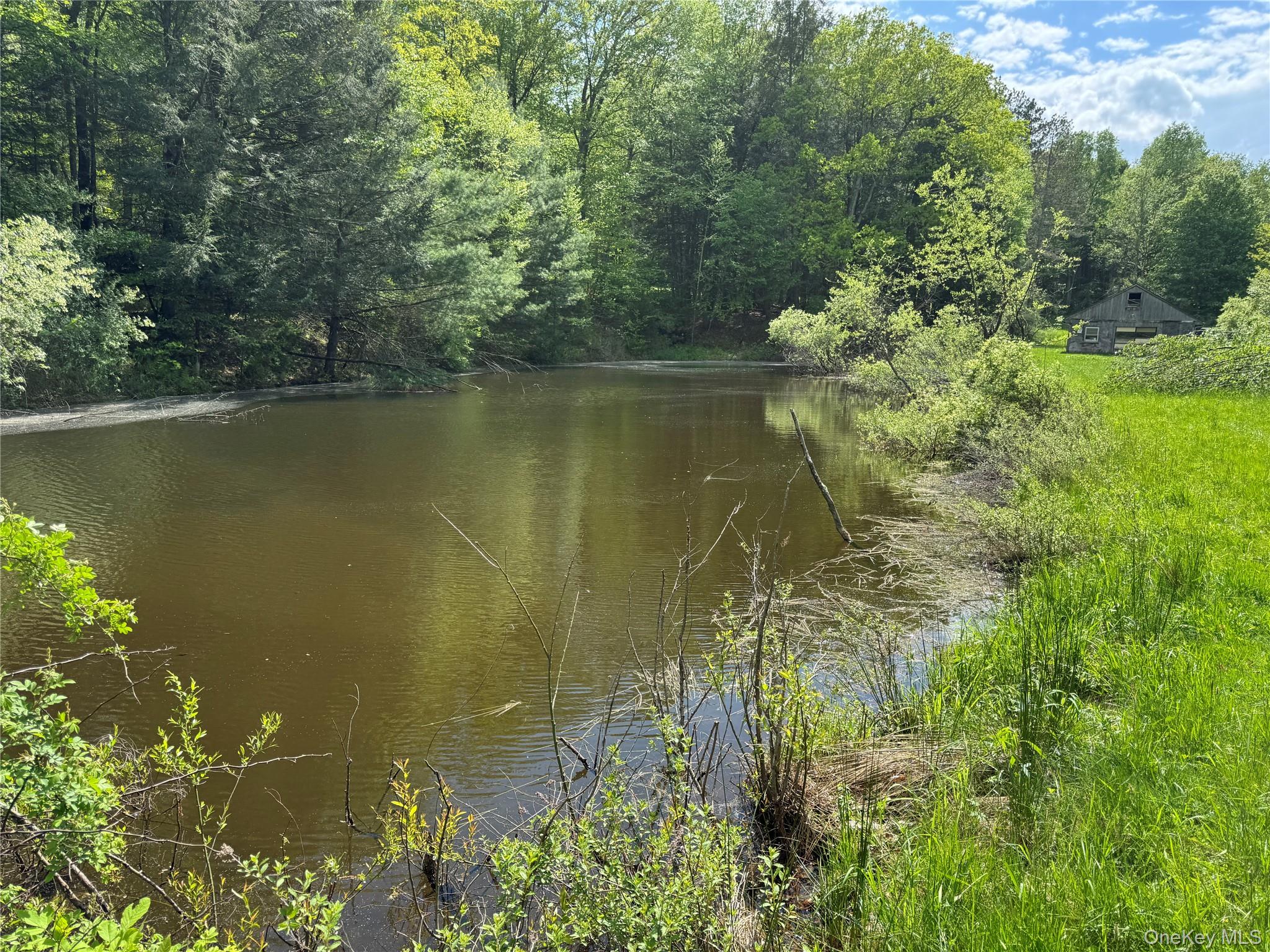 #14 photo, 632 New Turnpike Road, Cochecton , NY 12726