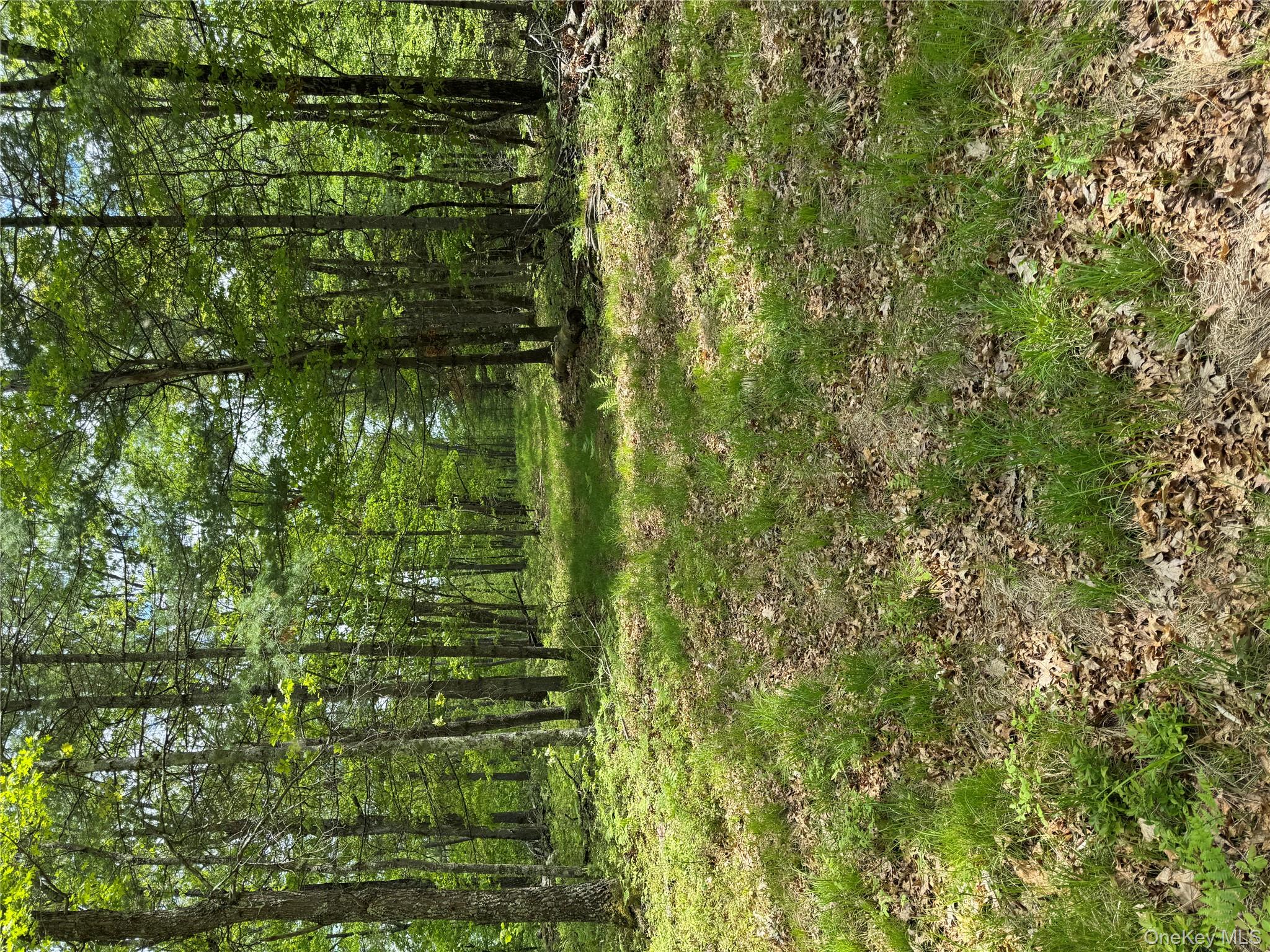 #20 photo, 632 New Turnpike Road, Cochecton , NY 12726