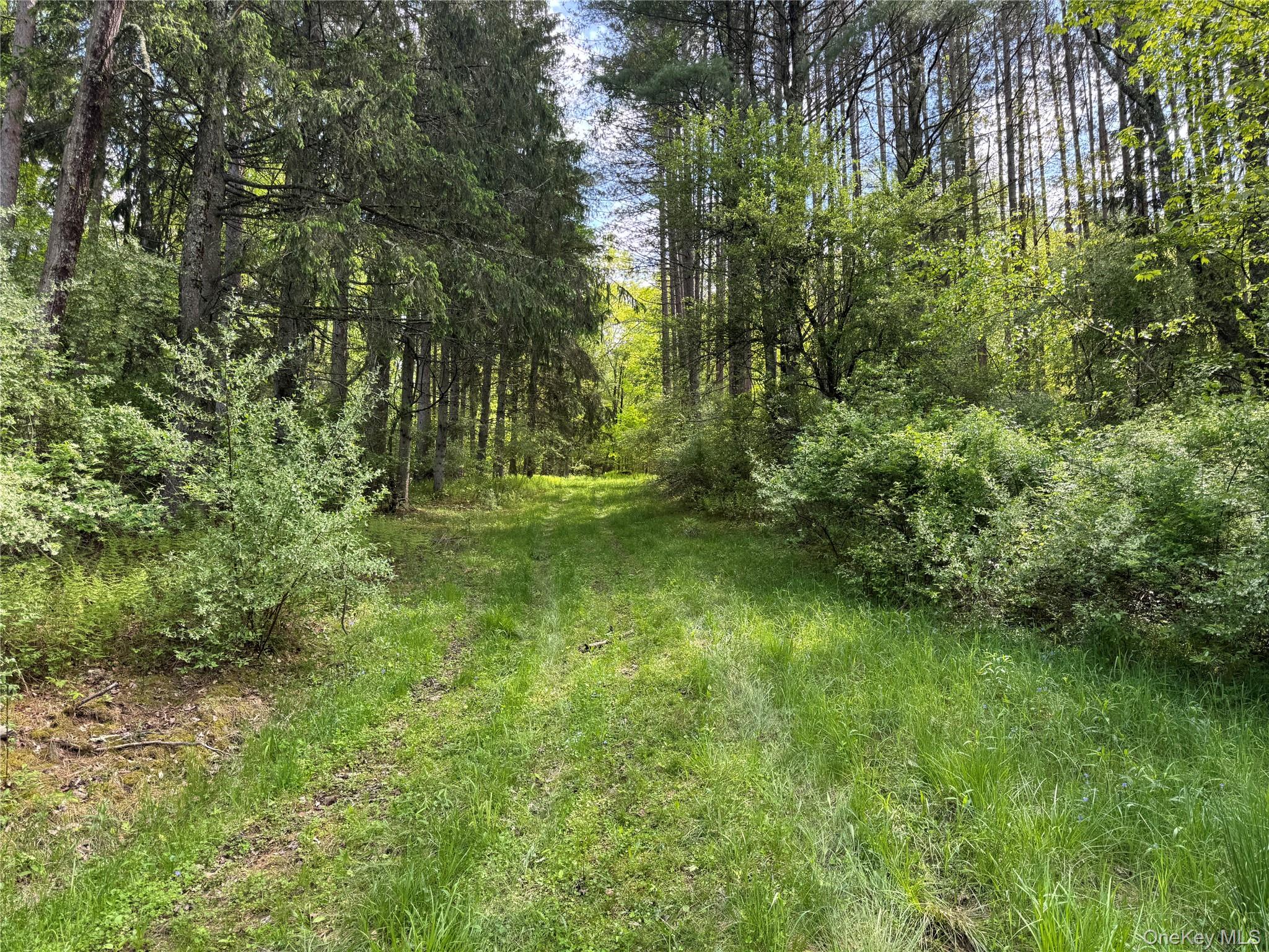 #3 photo, 632 New Turnpike Road, Cochecton , NY 12726