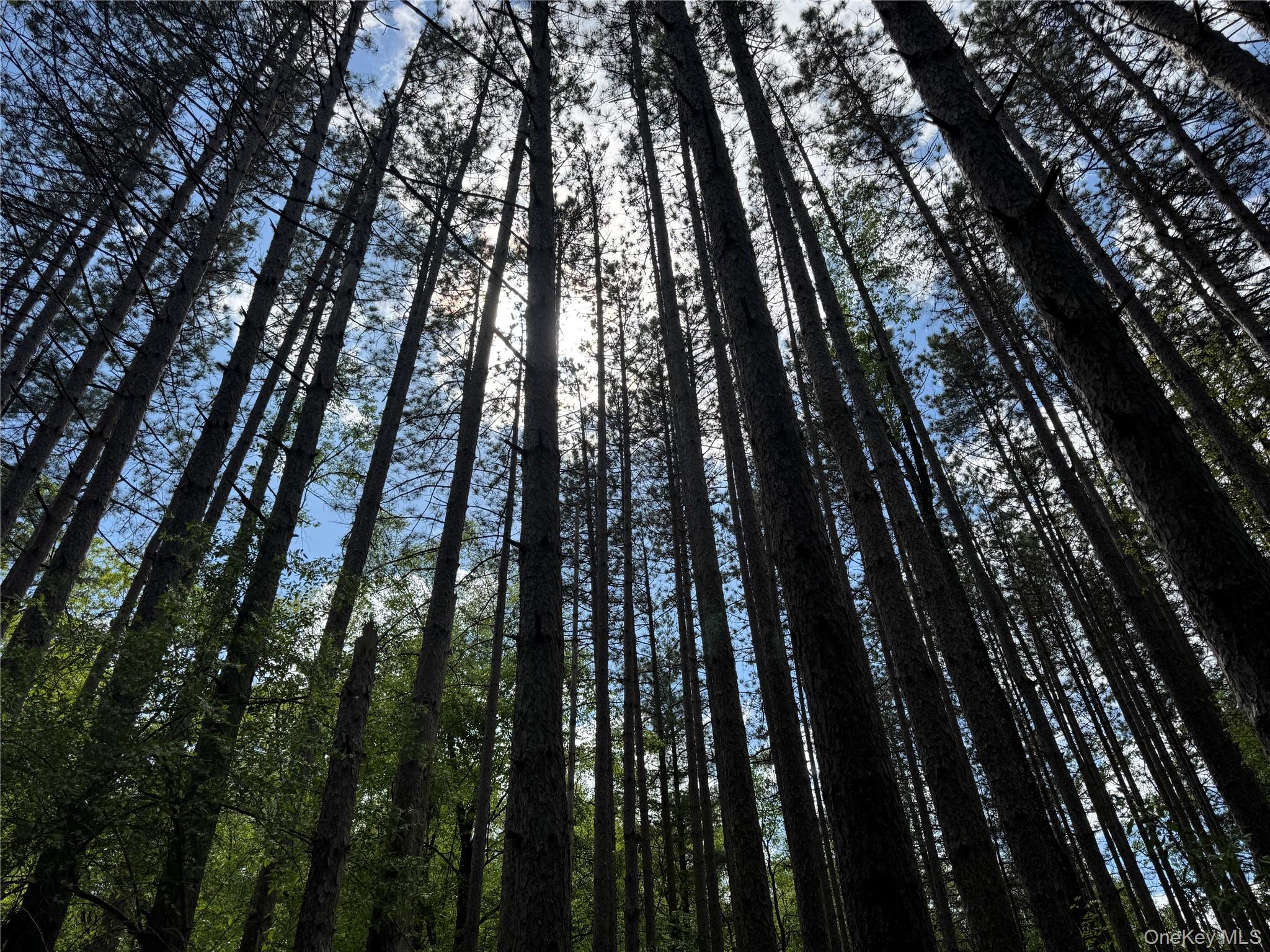 #5 photo, 632 New Turnpike Road, Cochecton , NY 12726