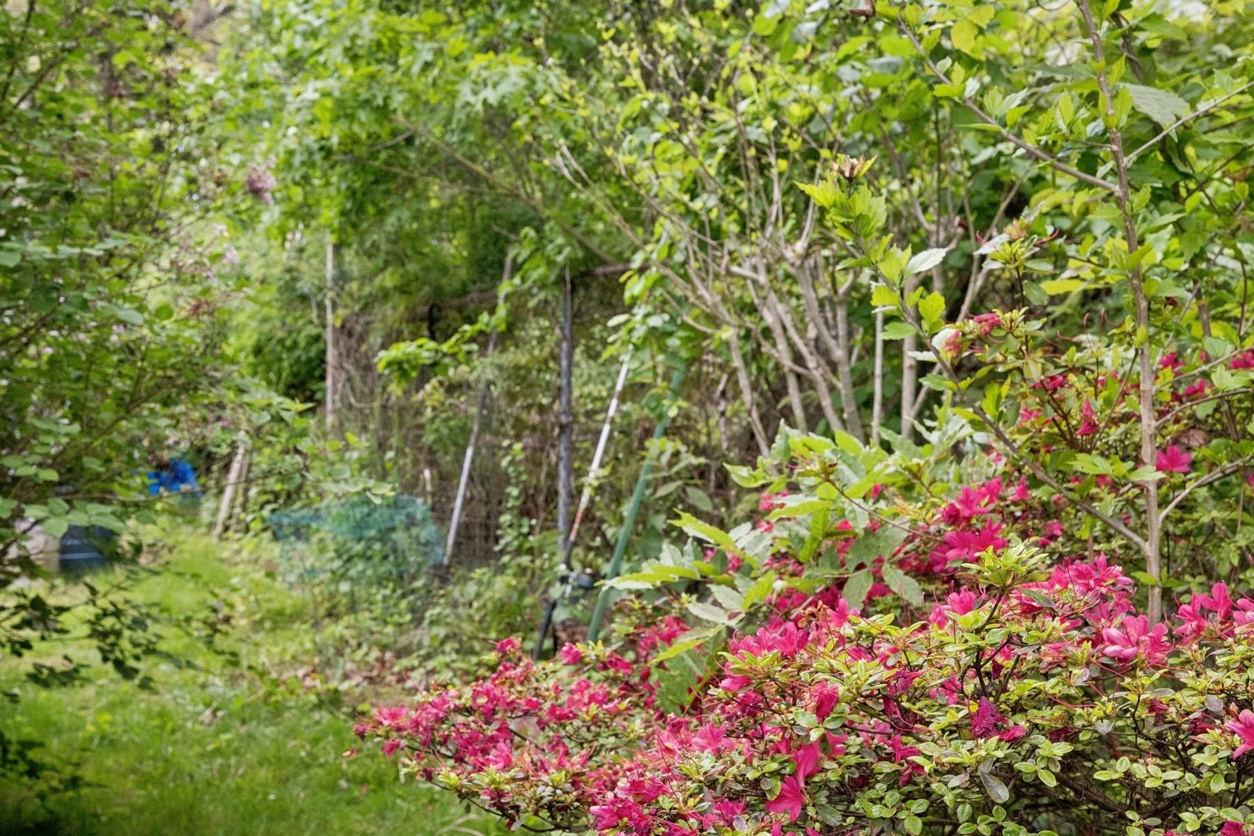 #10 photo, 105 Oakview Highway, サフォーク郡 East Hampton , NY 11937