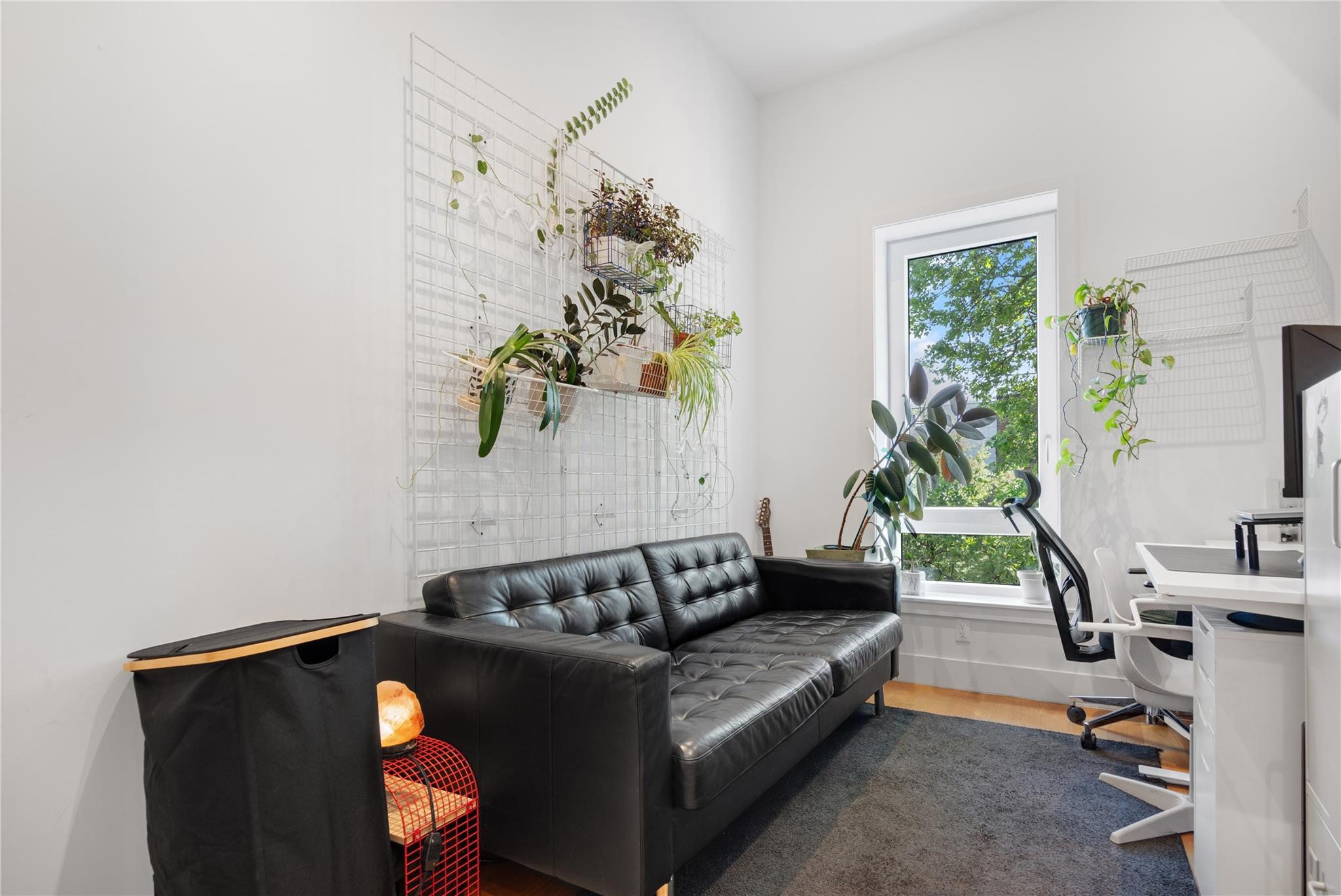 #6 photo, 297 Clifton Place, ブルックリン区 Brooklyn , NY 11216