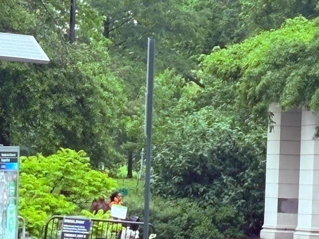 #7 photo, 353 Ocean Avenue, Brooklyn , NY 11226