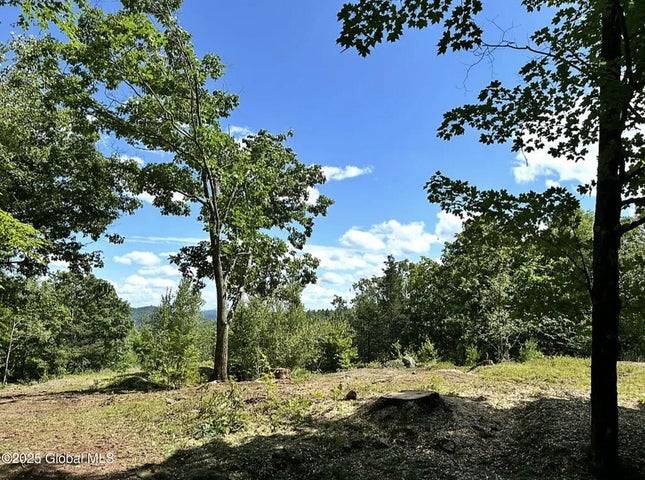 #20 photo, 981 New Hague Rd, Hague , NY 12836