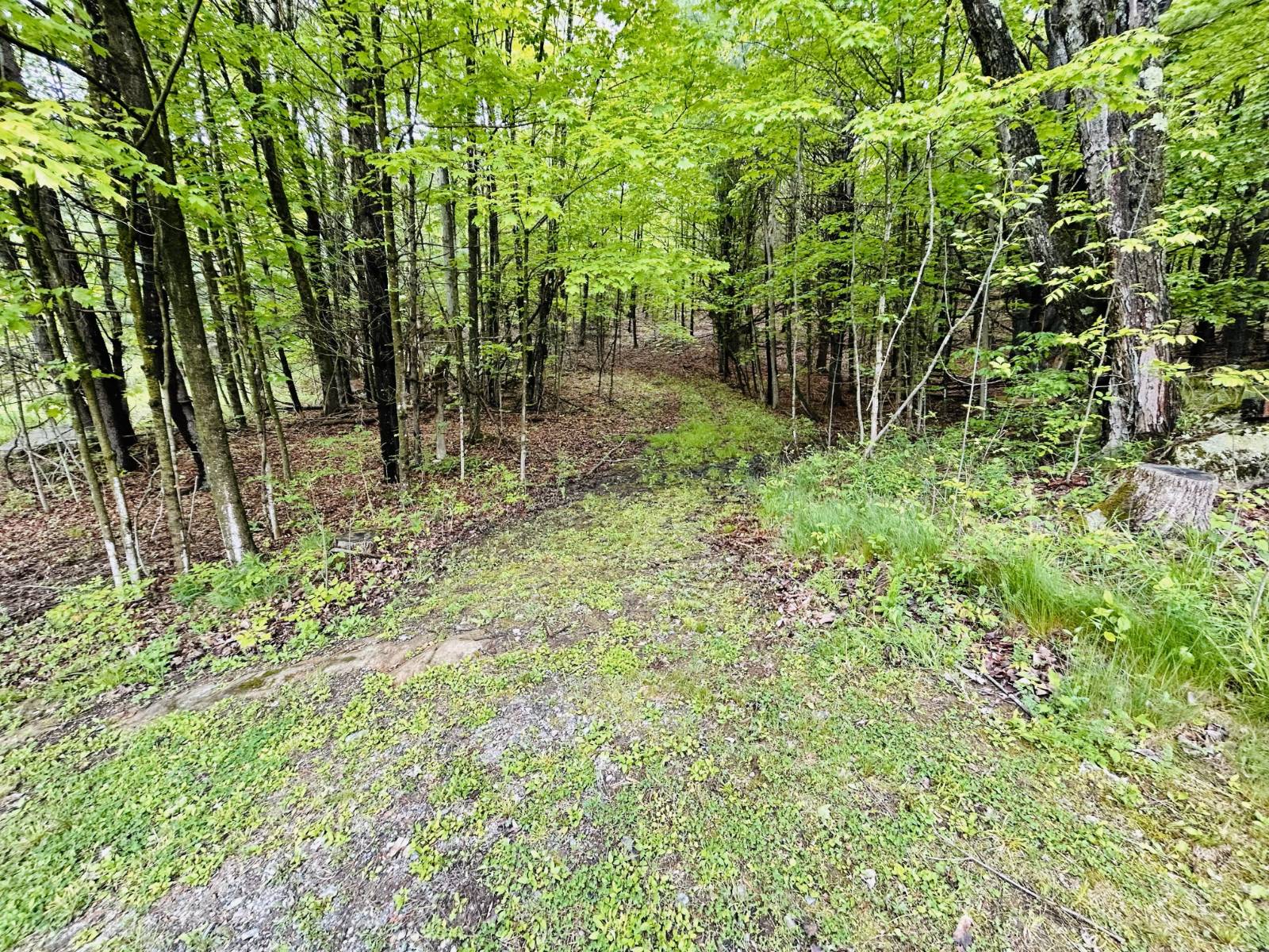 #21 photo, 981 New Hague Rd, Hague , NY 12836