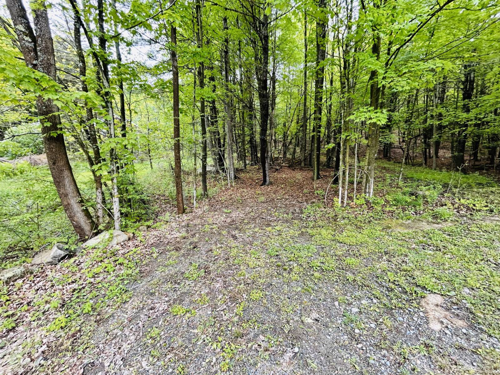 #22 photo, 981 New Hague Rd, Hague , NY 12836