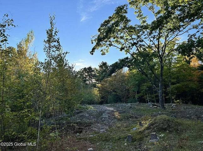 #20 photo, 981 New Hague Rd, Hague , NY 12836