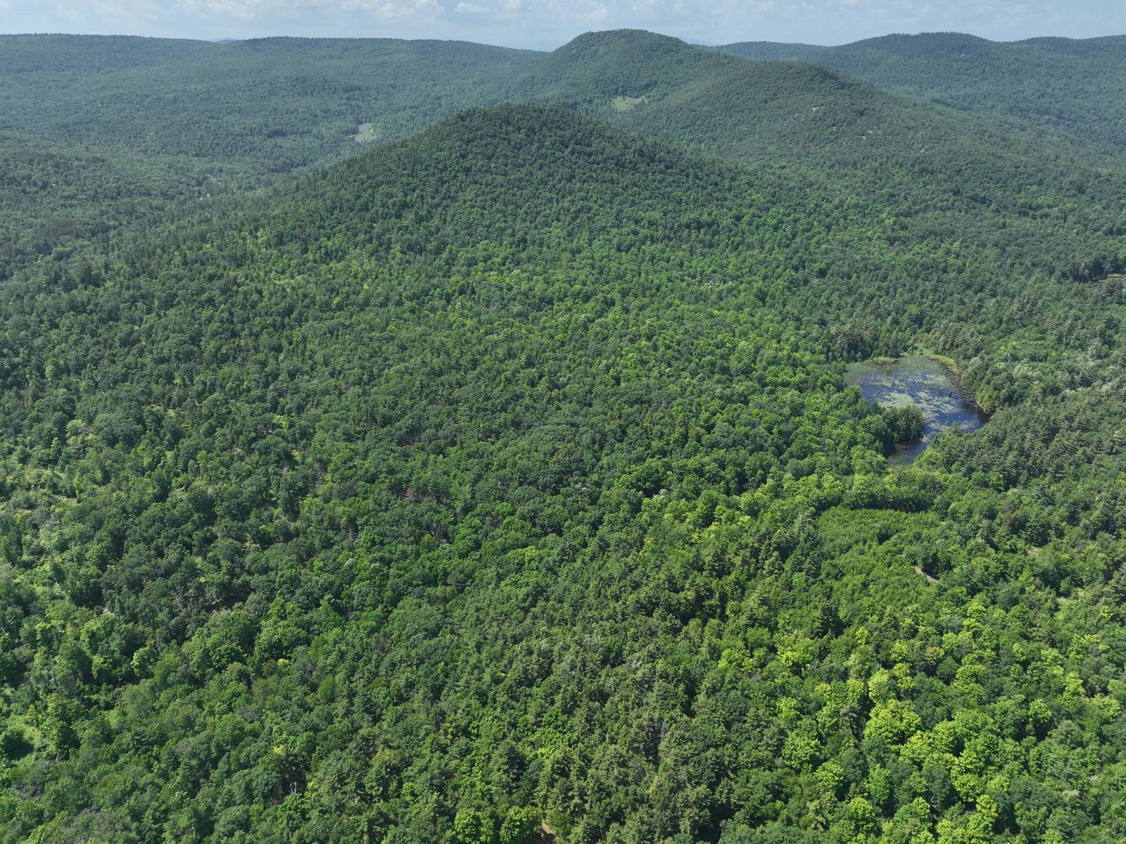 #28 photo, 981 New Hague Rd, Hague , NY 12836