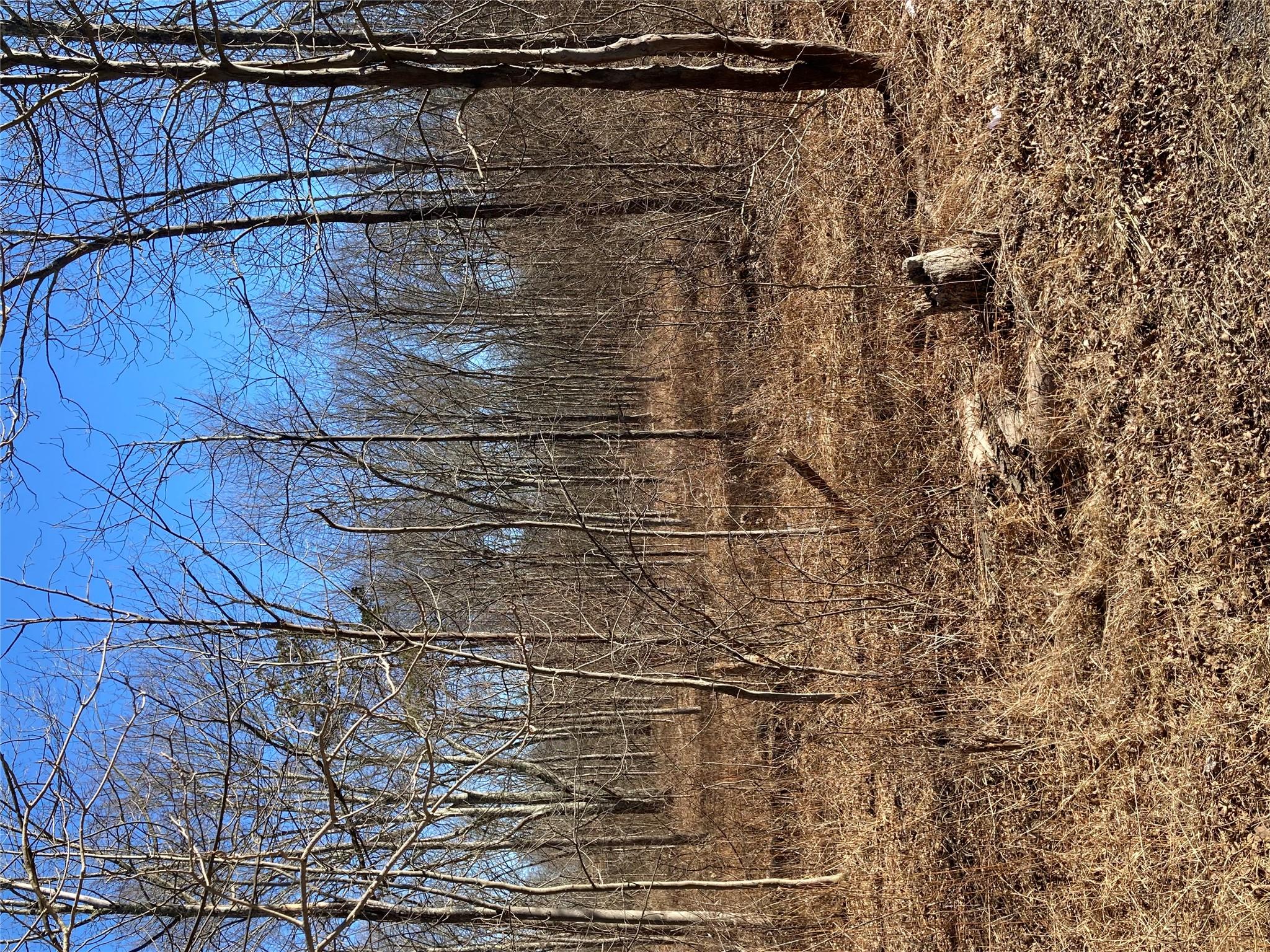 #11 photo, 799 Albany Post Road, Gardiner , NY 12525