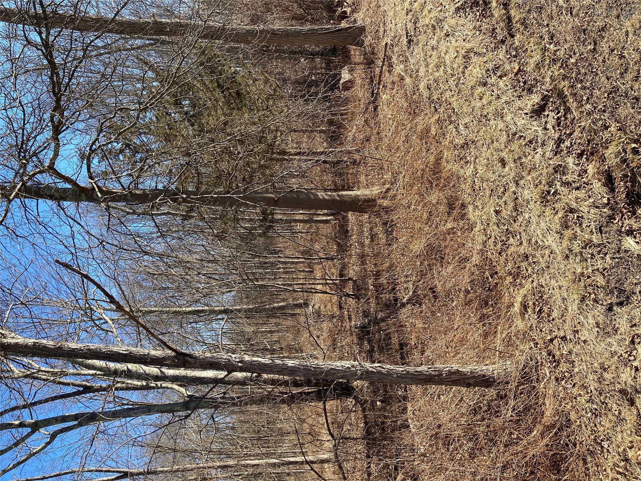 #12 photo, 799 Albany Post Road, Gardiner , NY 12525