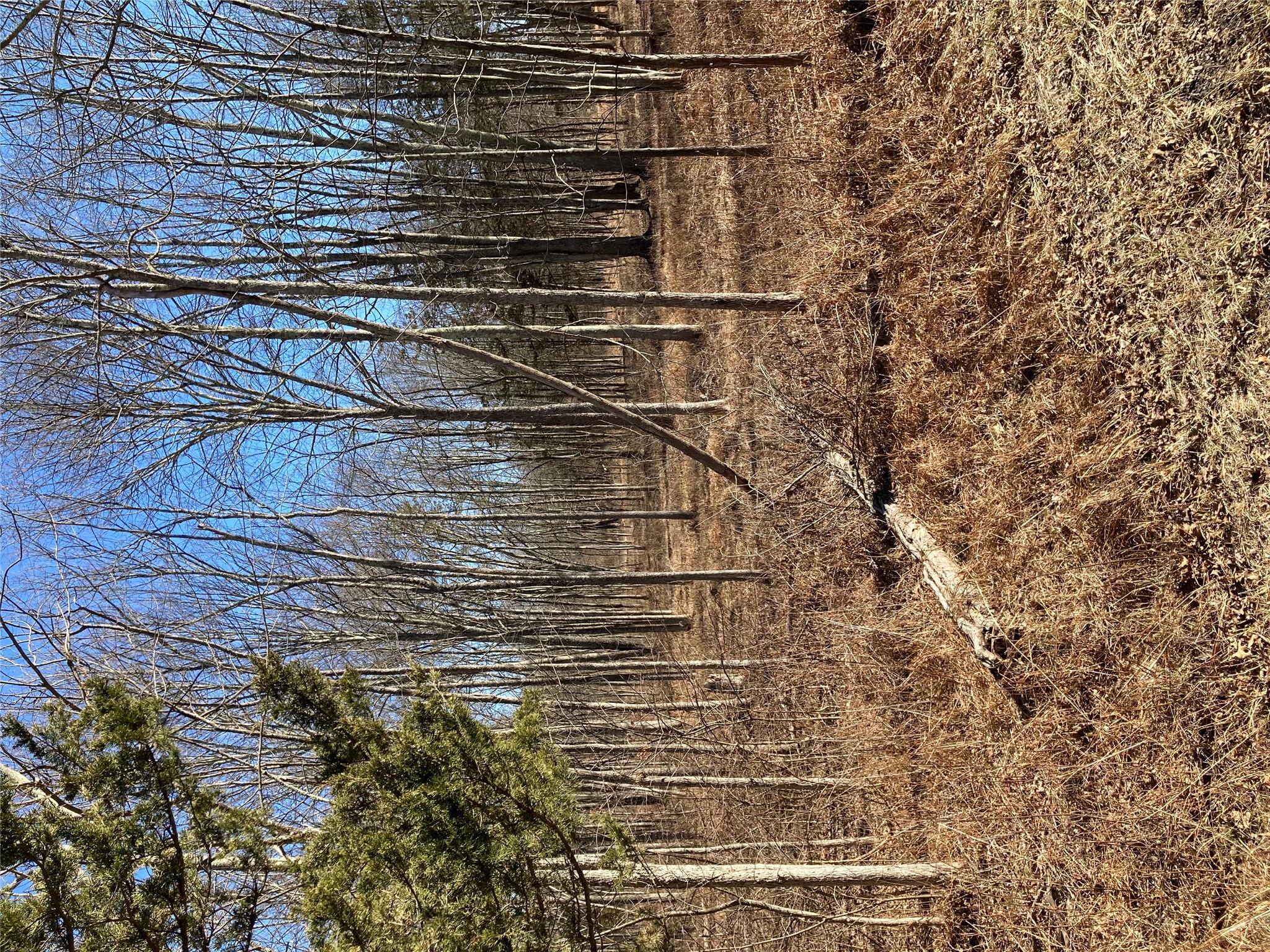 #13 photo, 799 Albany Post Road, Gardiner , NY 12525