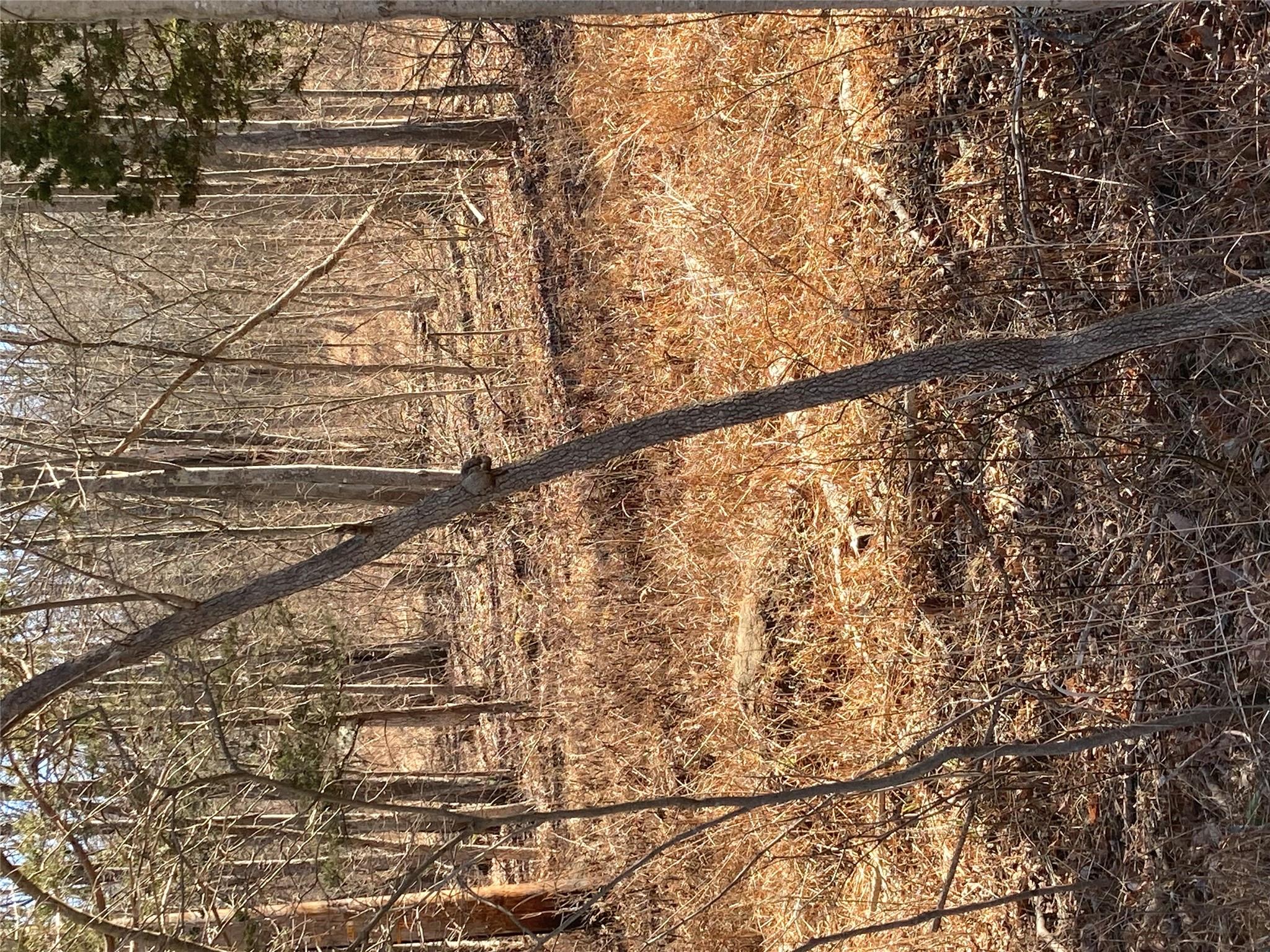 #3 photo, 799 Albany Post Road, Gardiner , NY 12525