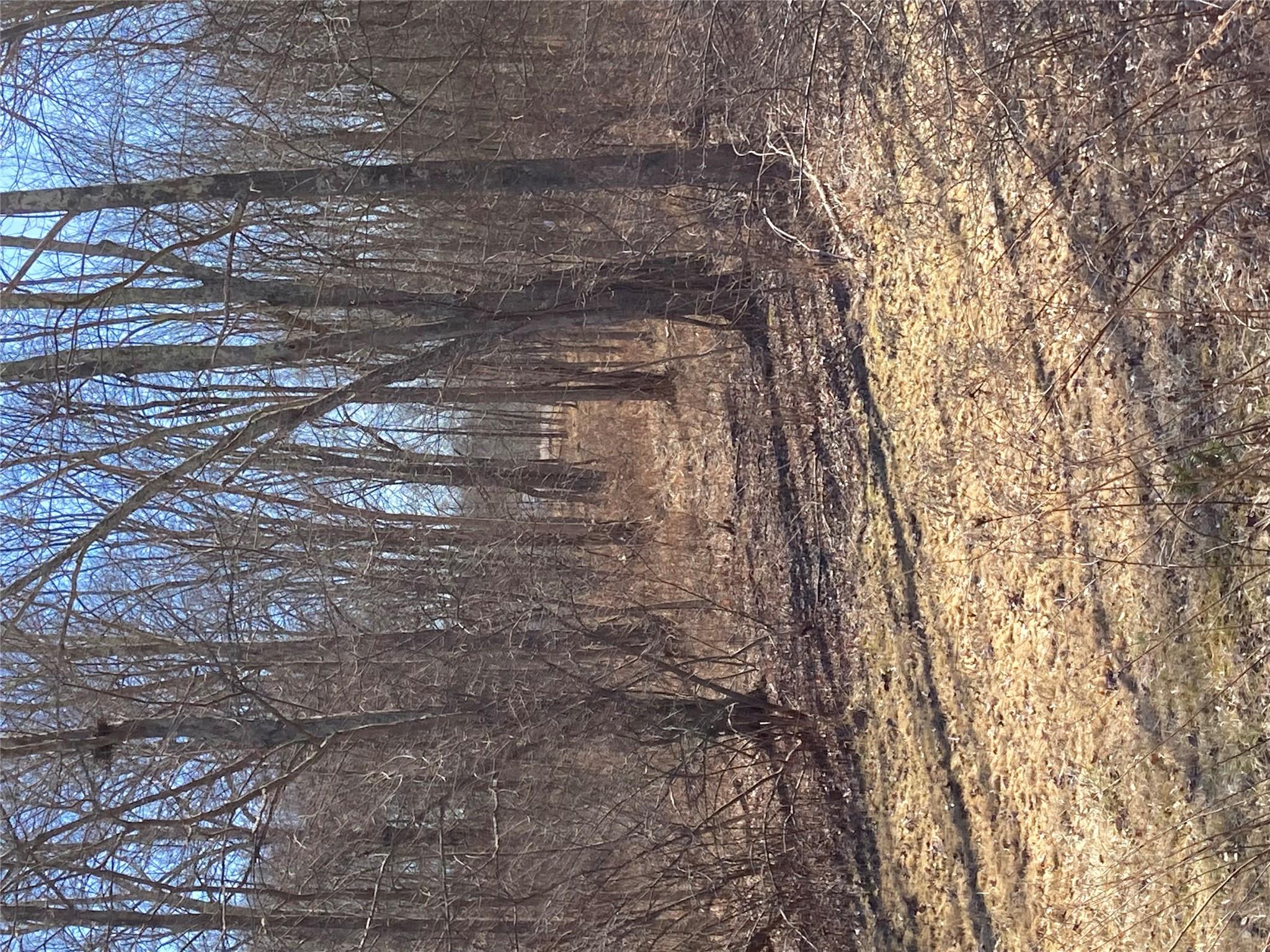 #6 photo, 799 Albany Post Road, Gardiner , NY 12525