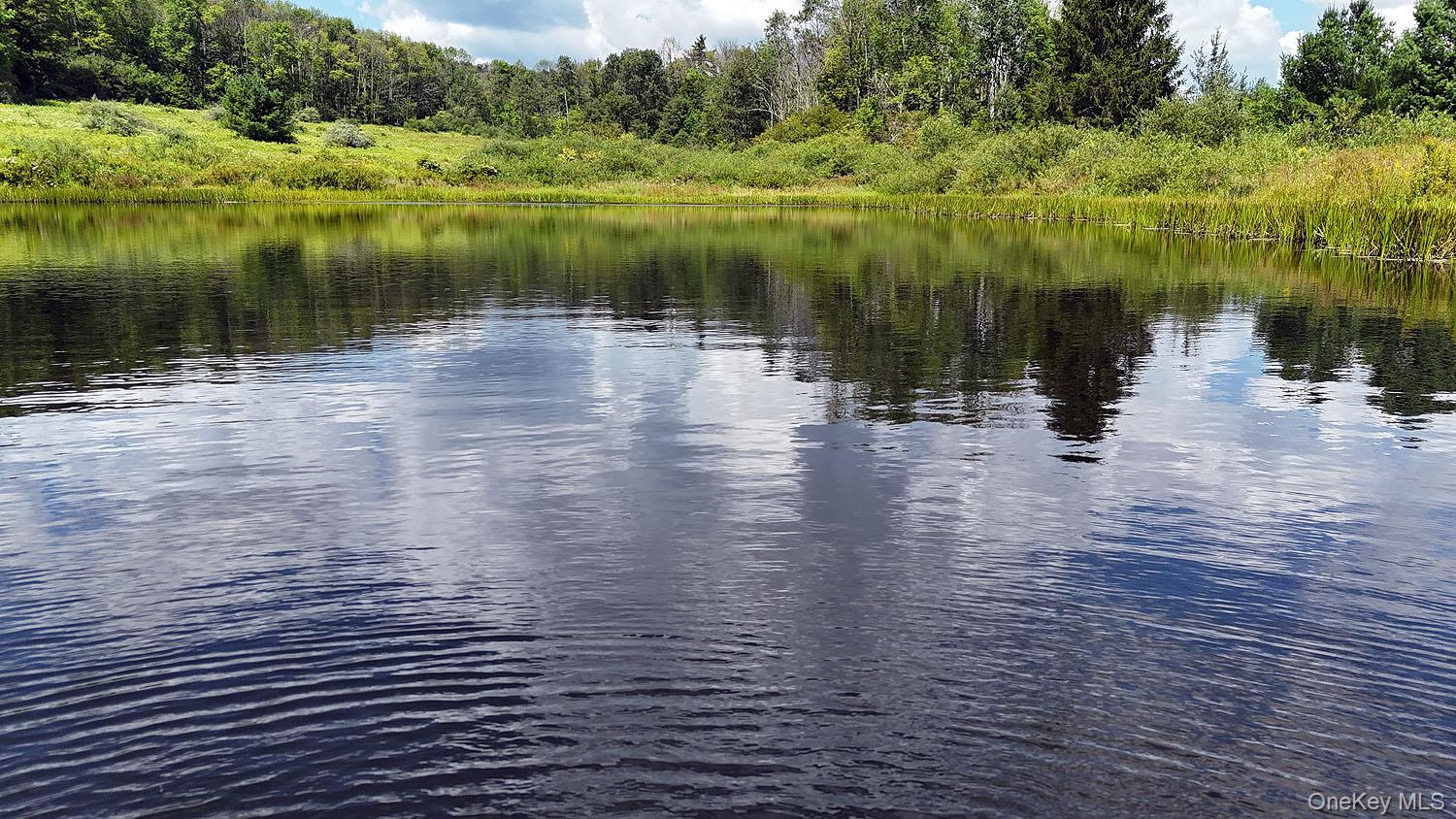 #8 photo, 3392 Eminence Road, Hancock , NY 13783