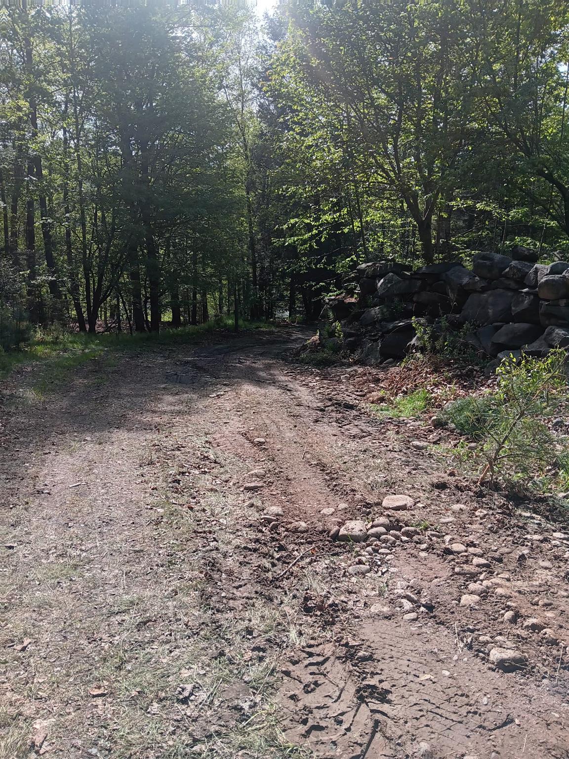 #2 photo, TBD HASBROUCK TR 96 Road, Woodbourne , NY 12788