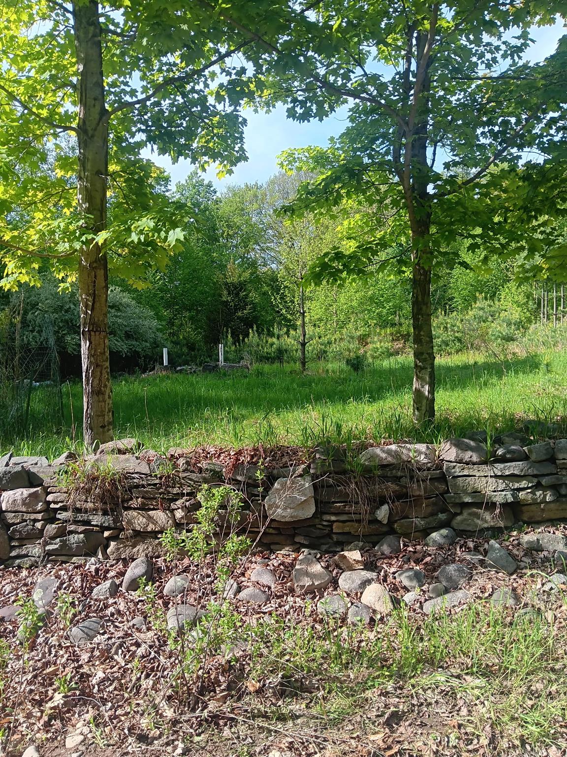 #4 photo, TBD HASBROUCK TR 96 Road, Woodbourne , NY 12788