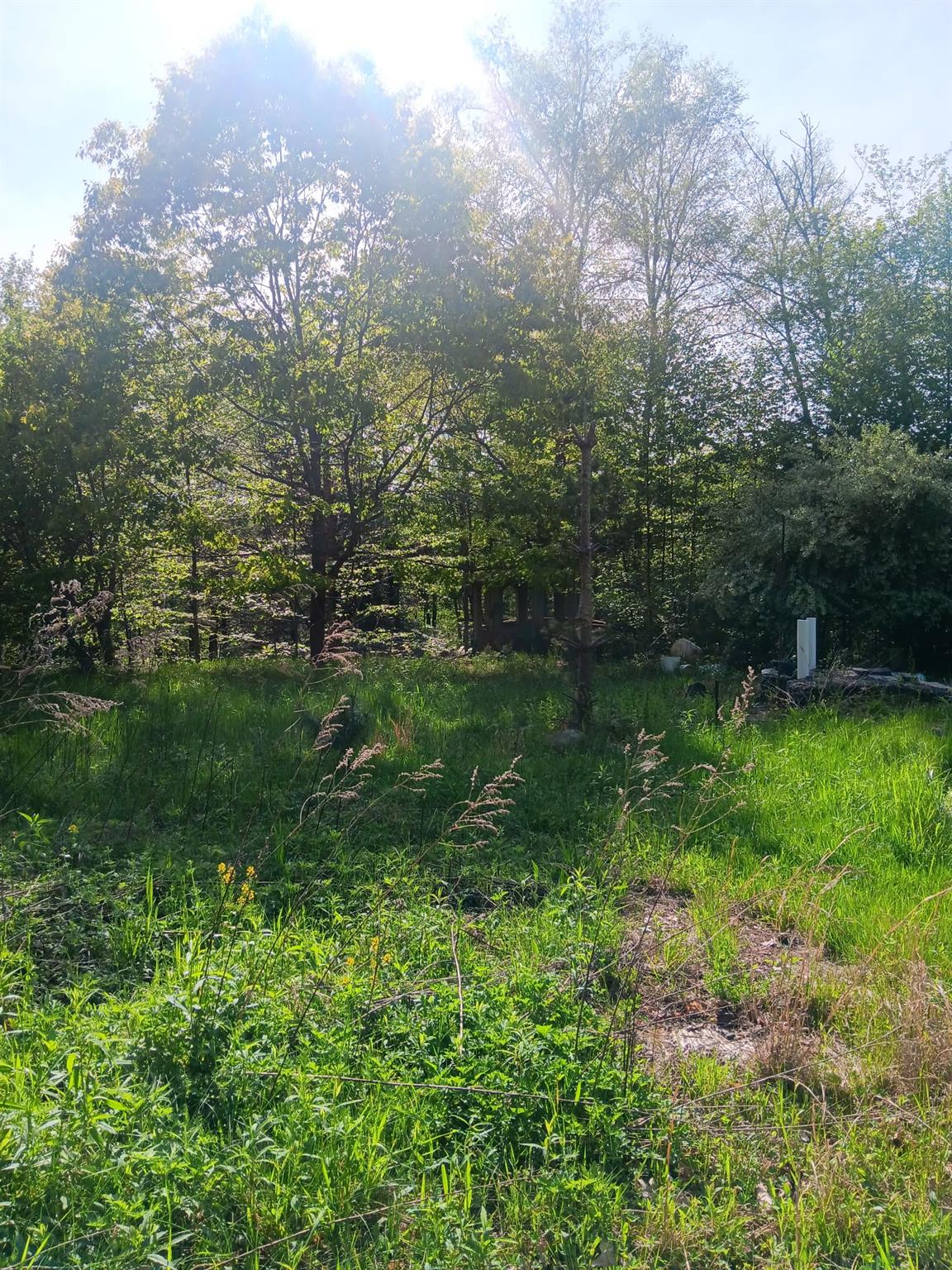 #7 photo, TBD HASBROUCK TR 96 Road, Woodbourne , NY 12788