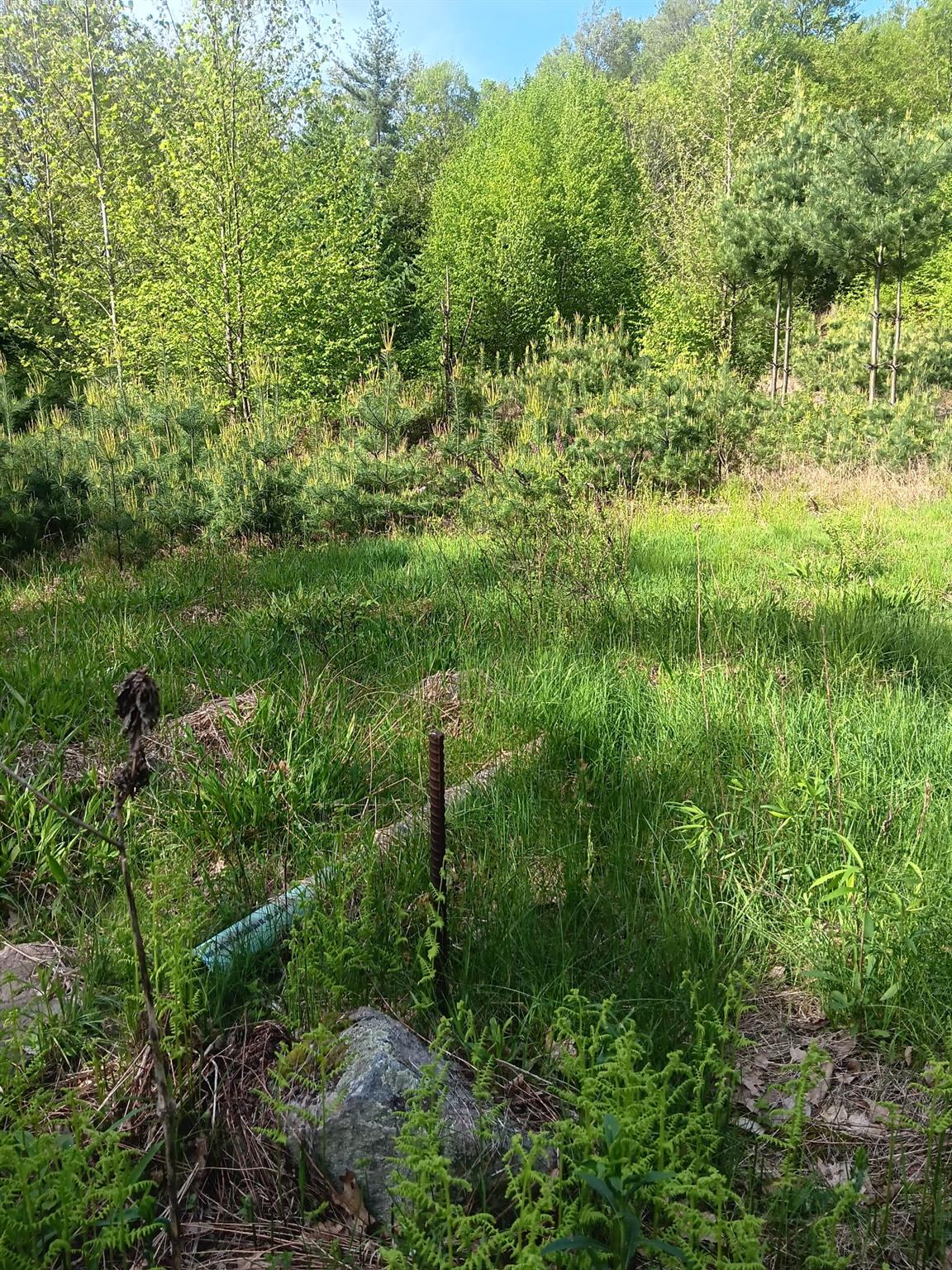 #8 photo, TBD HASBROUCK TR 96 Road, Woodbourne , NY 12788