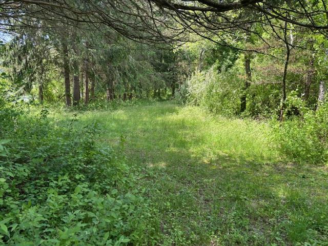 #10 photo, 5-8 Lakeside Lane, Pine Plains , NY 12567