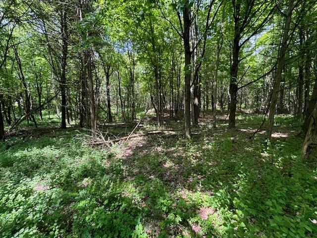 #11 photo, 5-8 Lakeside Lane, Pine Plains , NY 12567