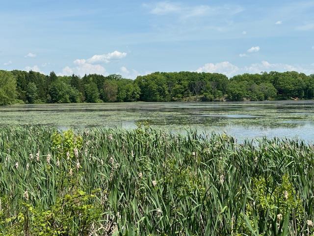 #12 photo, 5-8 Lakeside Lane, Pine Plains , NY 12567