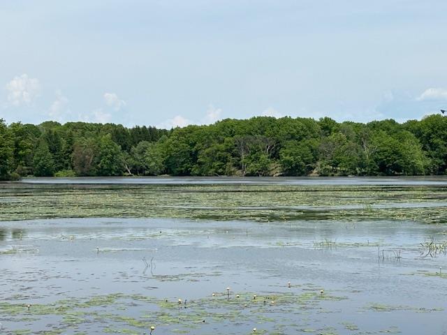 #13 photo, 5-8 Lakeside Lane, Pine Plains , NY 12567