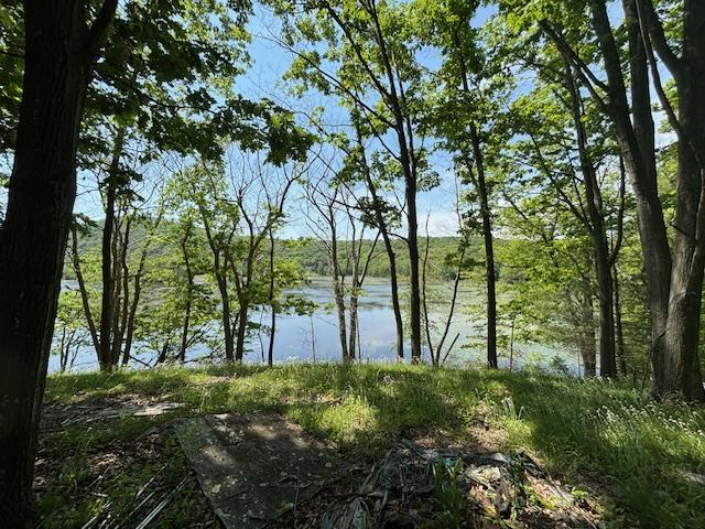 #16 photo, 5-8 Lakeside Lane, Pine Plains , NY 12567