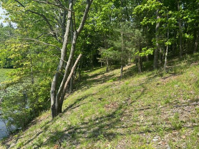 #17 photo, 5-8 Lakeside Lane, Pine Plains , NY 12567