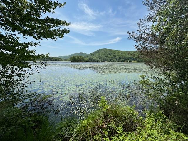 #5 photo, 5-8 Lakeside Lane, Pine Plains , NY 12567