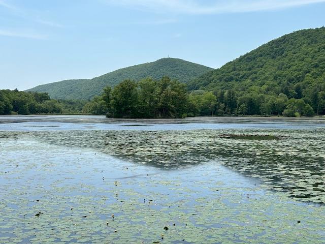 #6 photo, 5-8 Lakeside Lane, Pine Plains , NY 12567