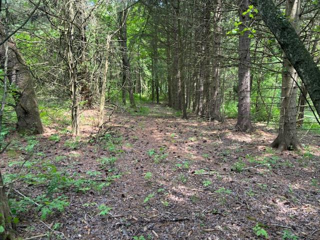 #7 photo, 5-8 Lakeside Lane, Pine Plains , NY 12567