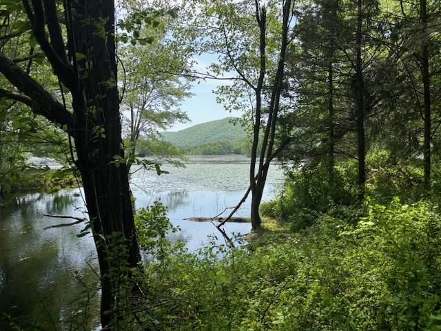 #8 photo, 5-8 Lakeside Lane, Pine Plains , NY 12567