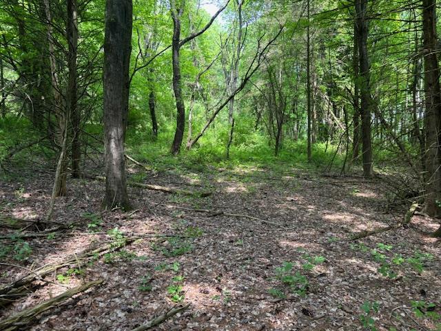 #9 photo, 5-8 Lakeside Lane, Pine Plains , NY 12567