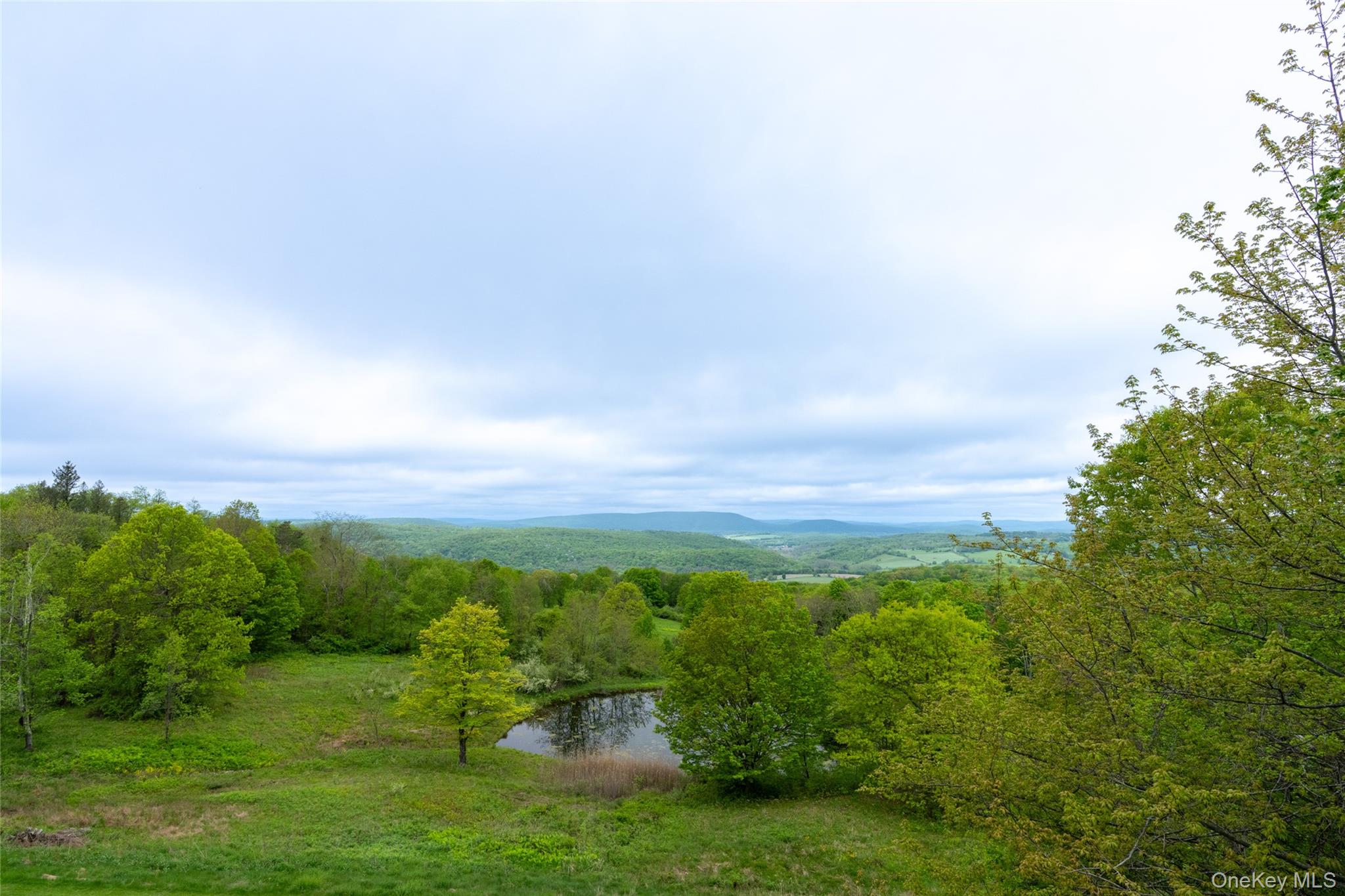 #7 photo, 139 Charlie Hill Road, Millerton , NY 12546