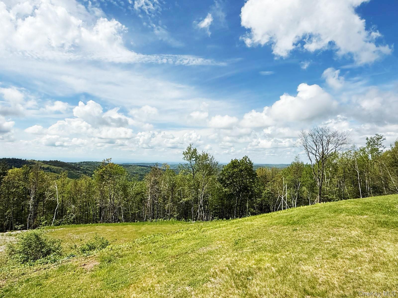 #4 photo, 25 Ridge Road, East Chatham , NY 12060