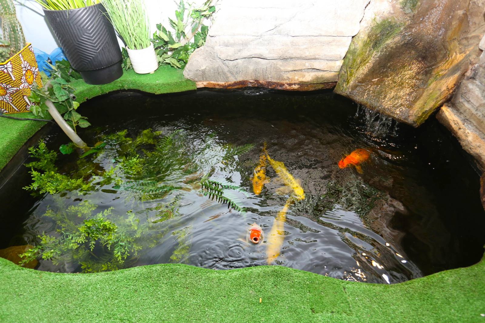 #9 photo, 480 Silver Spur Road W., Purling , NY 12470