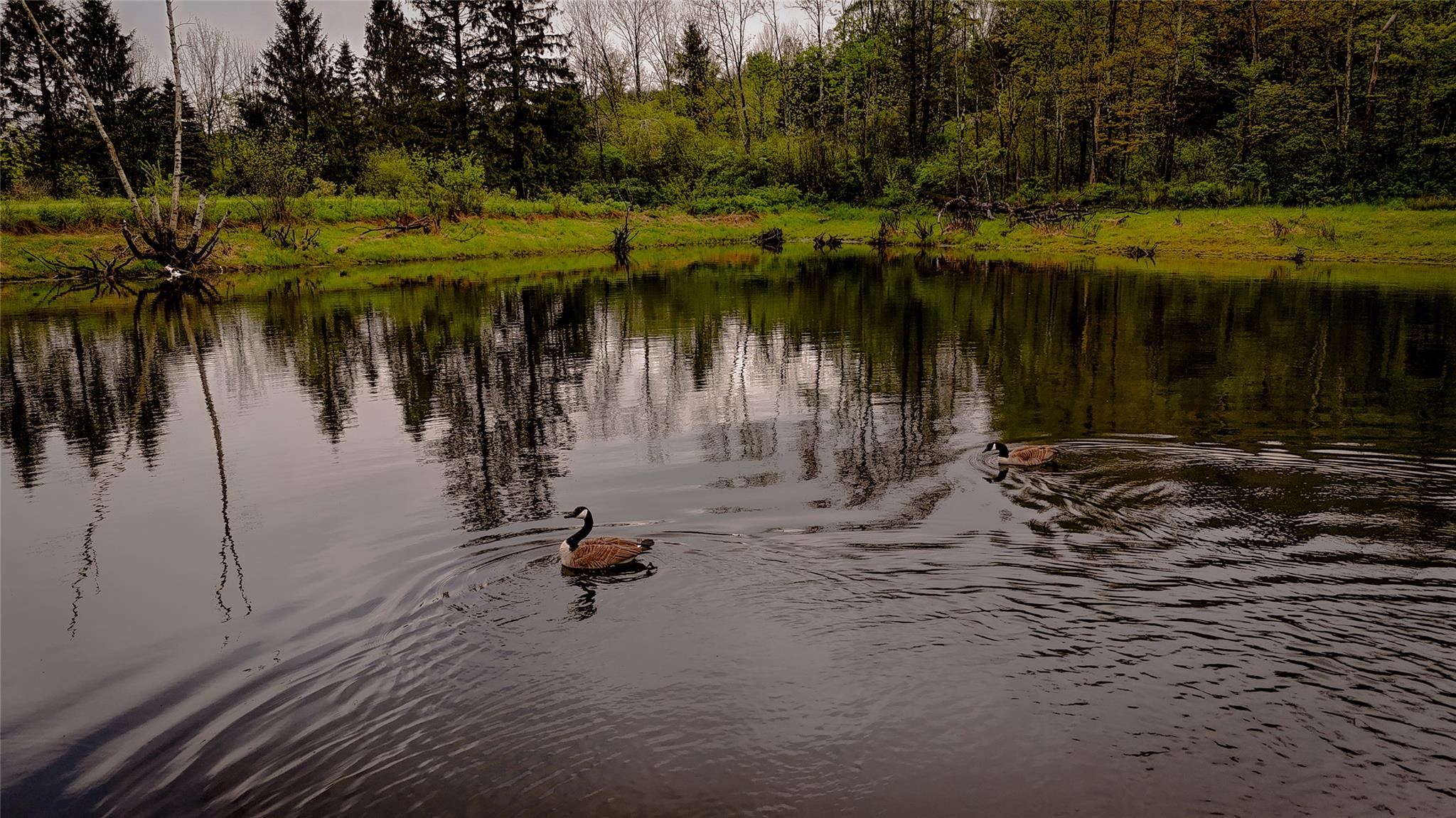 #5 photo, 187 Hahn Road, Callicoon Center , NY 12758