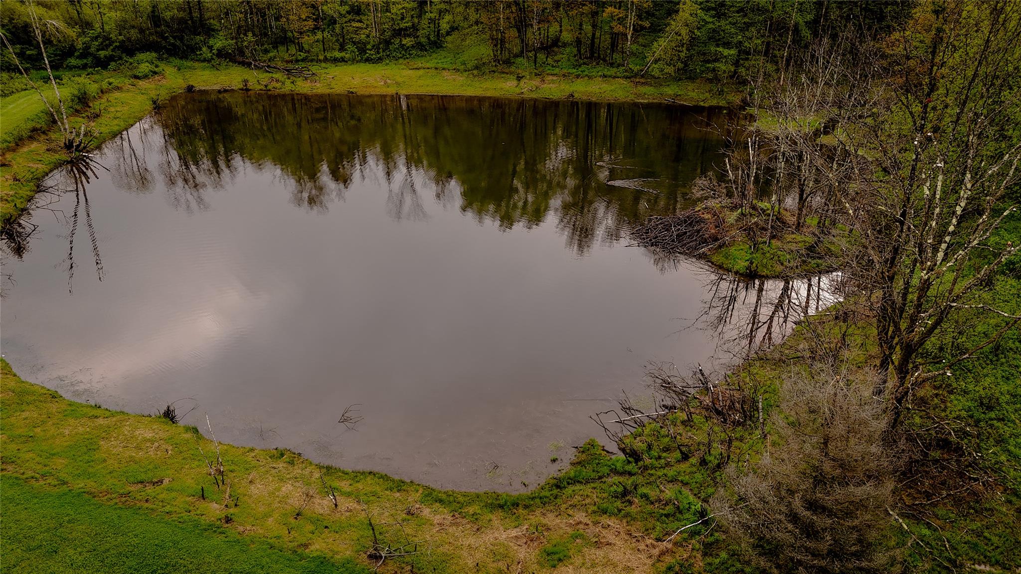 #6 photo, 187 Hahn Road, Callicoon Center , NY 12758