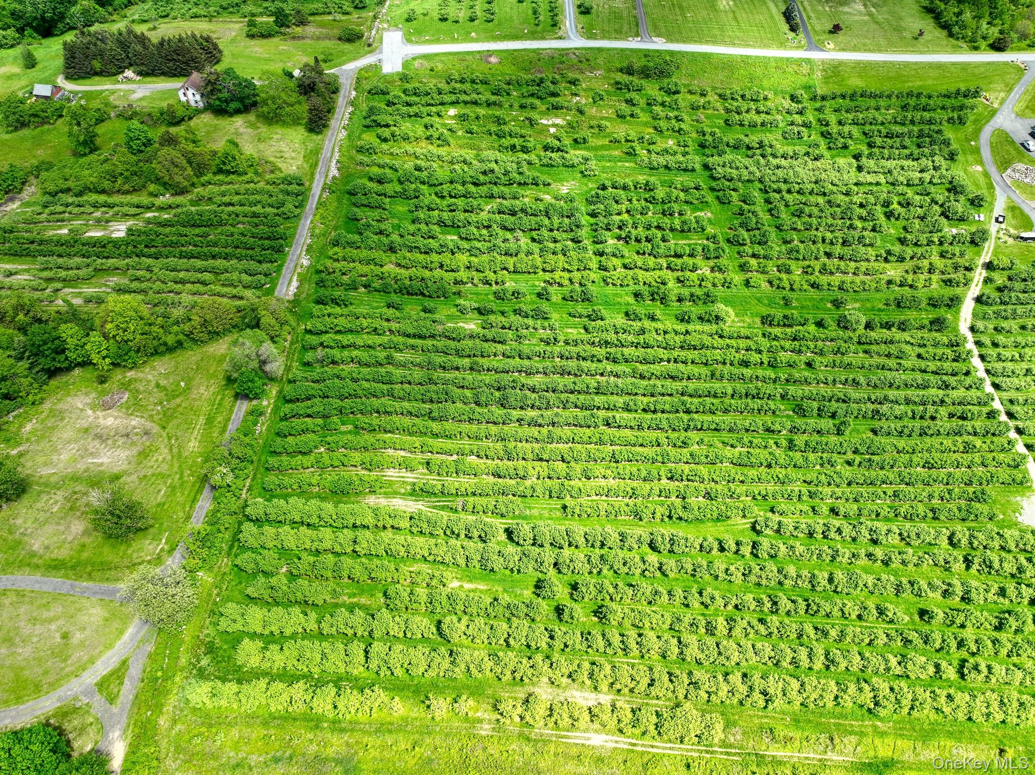 #11 photo, 75 Palazzo Lane, Highland , NY 12528