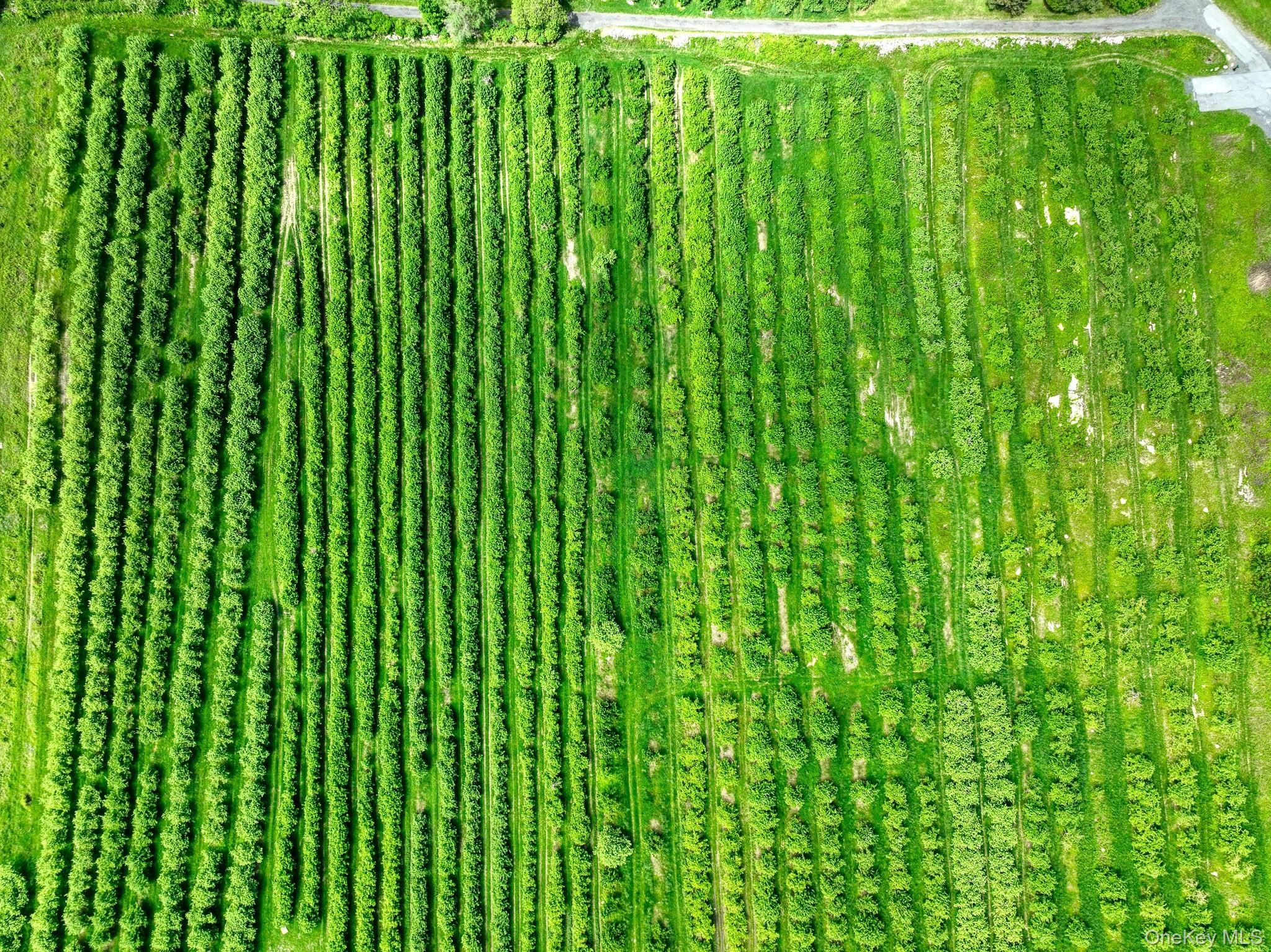 #12 photo, 75 Palazzo Lane, Highland , NY 12528