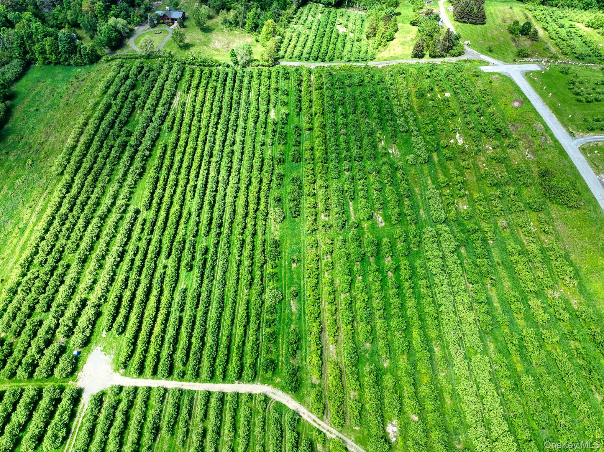 #13 photo, 75 Palazzo Lane, Highland , NY 12528